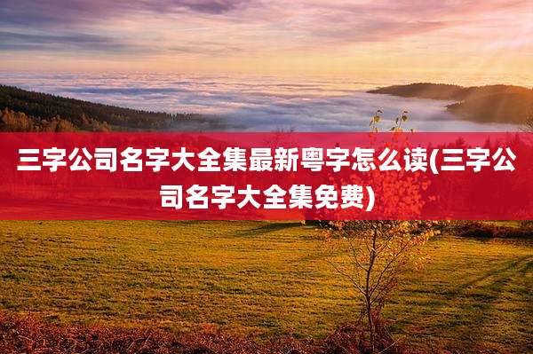 三字公司名字大全集最新粤字怎么读(三字公司名字大全集免费)
