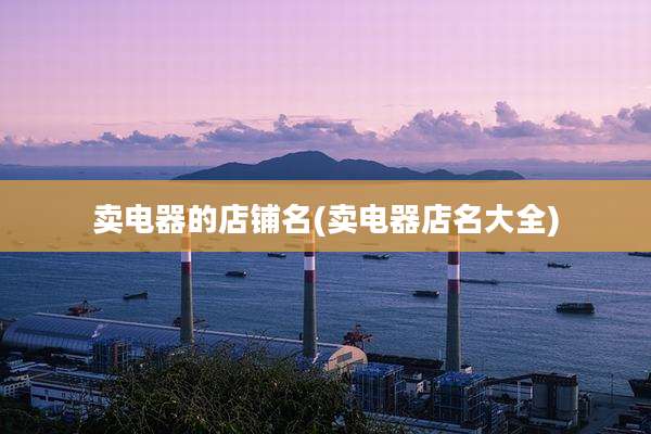 卖电器的店铺名(卖电器店名大全)