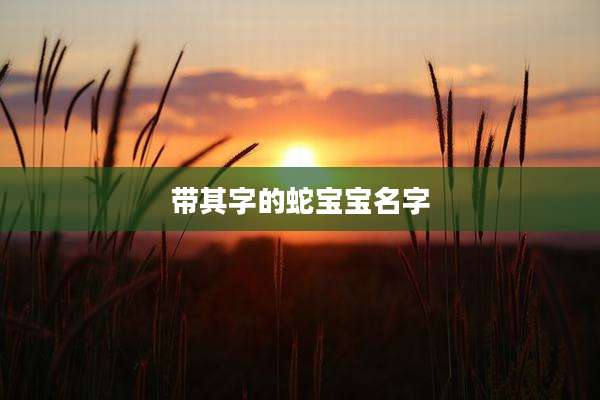 带其字的蛇宝宝名字