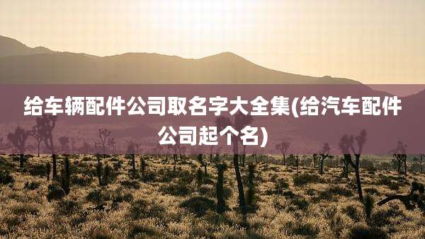 给车辆配件公司取名字大全集(给汽车配件公司起个名)