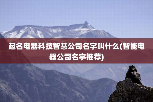 起名电器科技智慧公司名字叫什么(智能电器公司名字推荐)