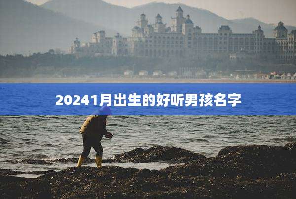 20241月出生的好听男孩名字