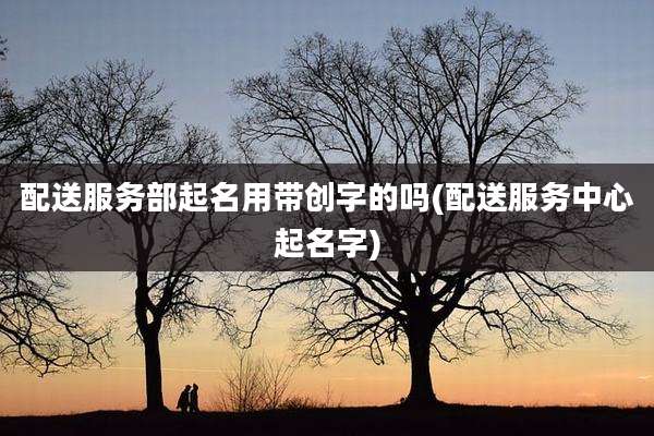 配送服务部起名用带创字的吗(配送服务中心起名字)