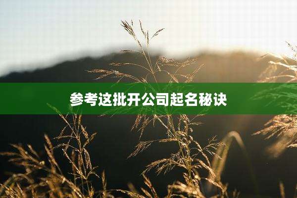 参考这批开公司起名秘诀