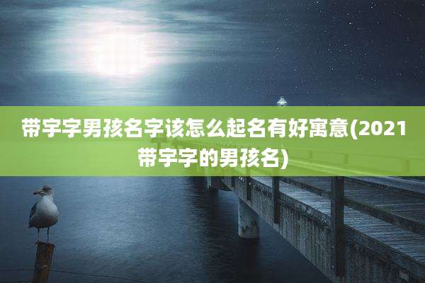 带宇字男孩名字该怎么起名有好寓意(2021带宇字的男孩名)