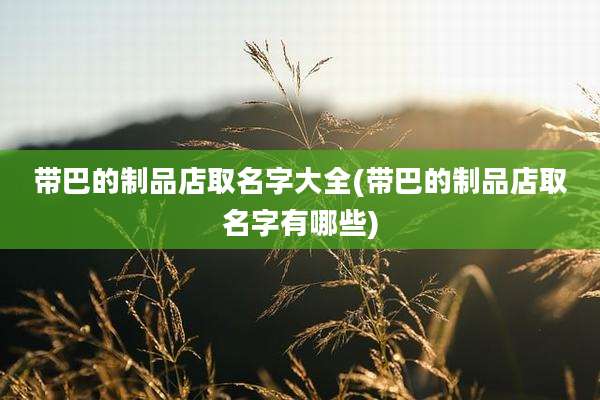 带巴的制品店取名字大全(带巴的制品店取名字有哪些)