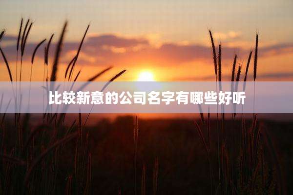 比较新意的公司名字有哪些好听