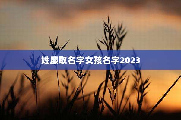 姓廉取名字女孩名字2023