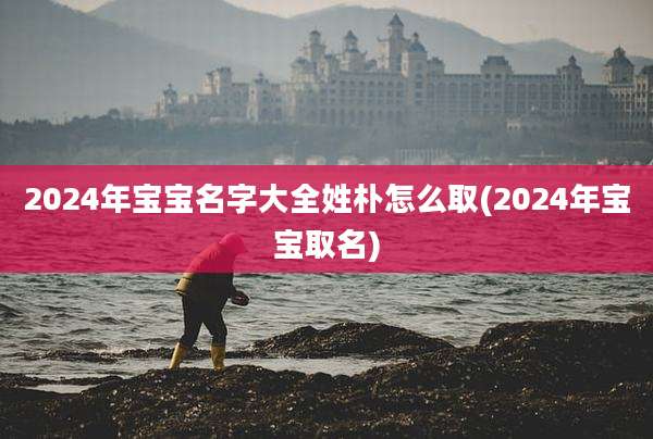 2024年宝宝名字大全姓朴怎么取(2024年宝宝取名)