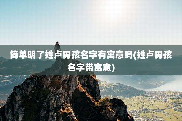 简单明了姓卢男孩名字有寓意吗(姓卢男孩名字带寓意)