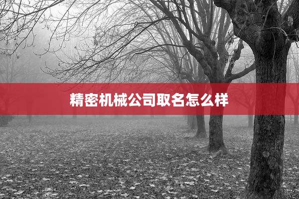 精密机械公司取名怎么样