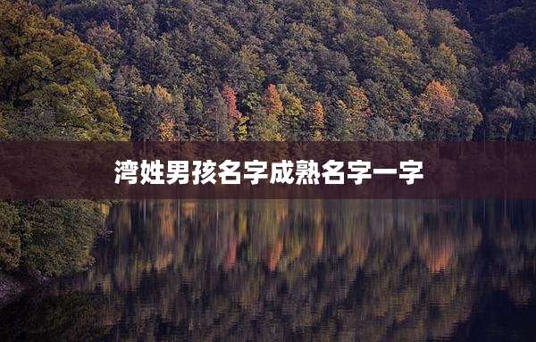 湾姓男孩名字成熟名字一字