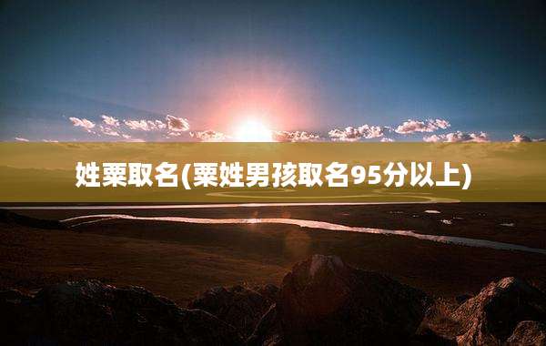 姓粟取名(粟姓男孩取名95分以上)