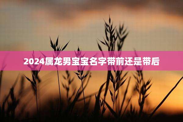 2024属龙男宝宝名字带前还是带后