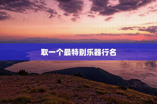 取一个最特别乐器行名