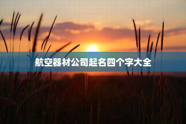 航空器材公司起名四个字大全