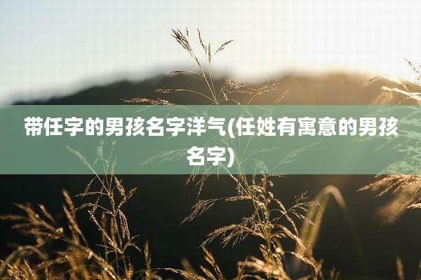 带任字的男孩名字洋气(任姓有寓意的男孩名字)