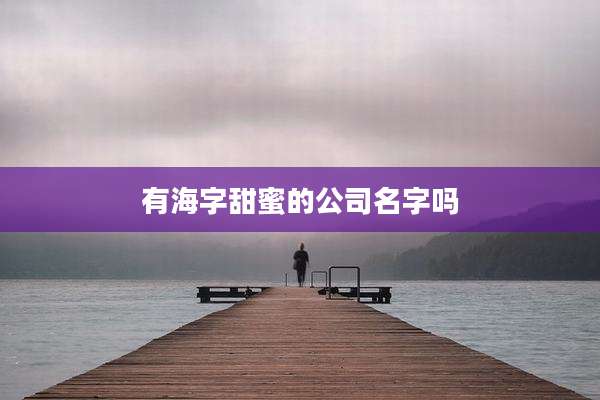 有海字甜蜜的公司名字吗
