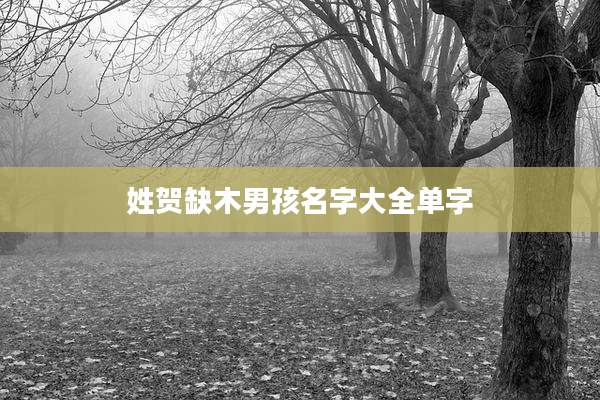 姓贺缺木男孩名字大全单字
