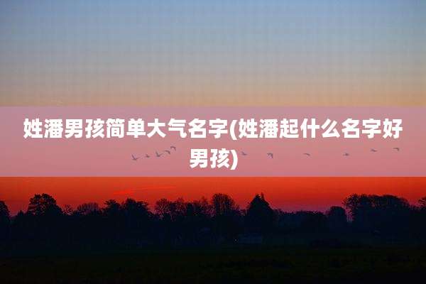 姓潘男孩简单大气名字(姓潘起什么名字好男孩)
