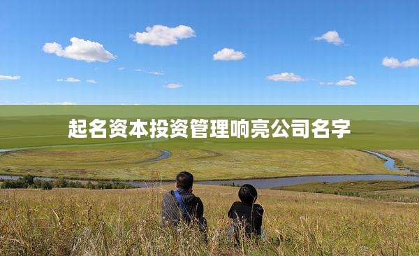 起名资本投资管理响亮公司名字