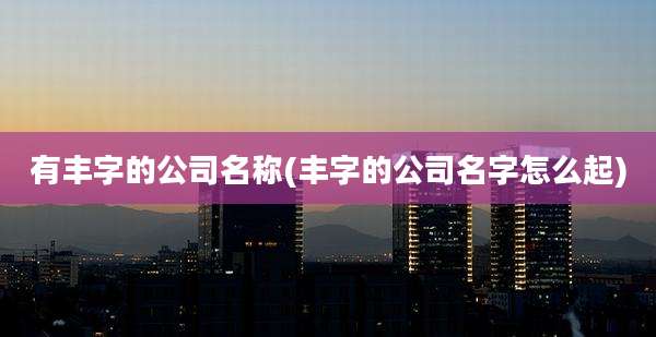有丰字的公司名称(丰字的公司名字怎么起)