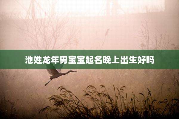 池姓龙年男宝宝起名晚上出生好吗