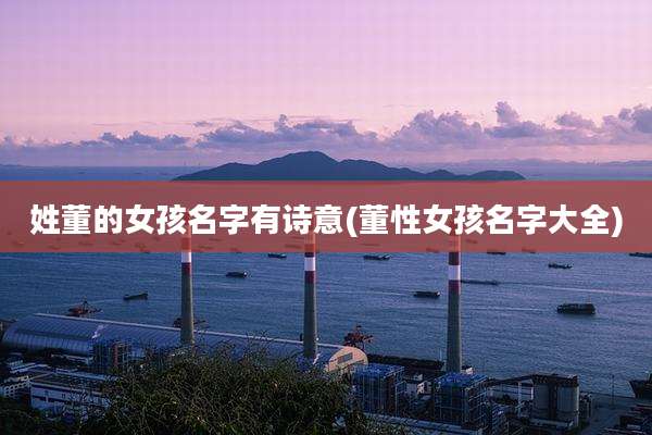 姓董的女孩名字有诗意(董性女孩名字大全)