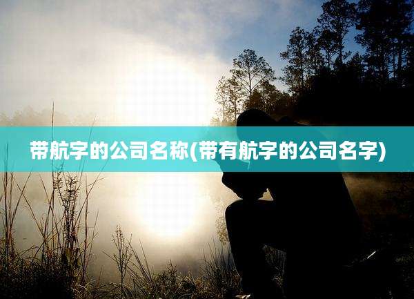 带航字的公司名称(带有航字的公司名字)