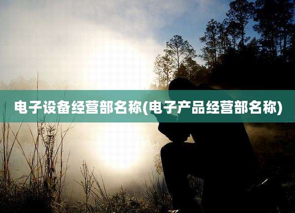电子设备经营部名称(电子产品经营部名称)