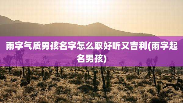 雨字气质男孩名字怎么取好听又吉利(雨字起名男孩)