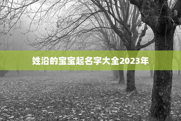 姓沿的宝宝起名字大全2023年