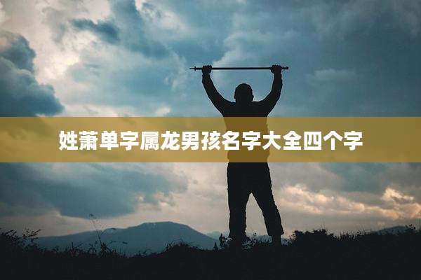 姓萧单字属龙男孩名字大全四个字