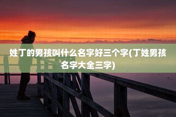姓丁的男孩叫什么名字好三个字(丁姓男孩名字大全三字)