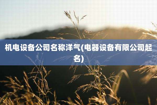 机电设备公司名称洋气(电器设备有限公司起名)