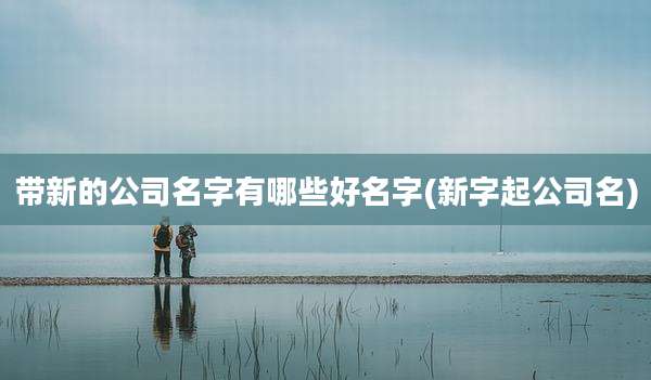 带新的公司名字有哪些好名字(新字起公司名)