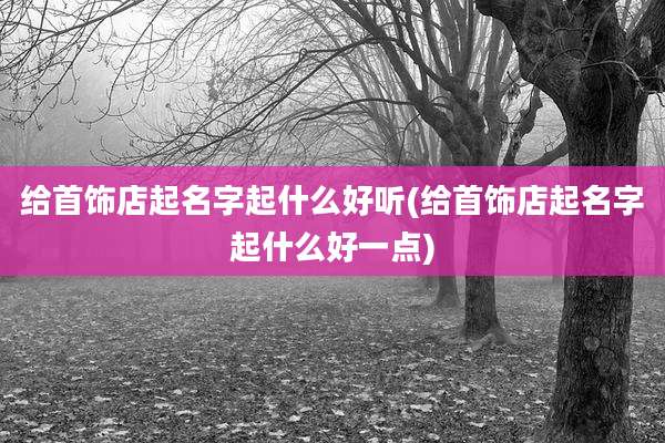 给首饰店起名字起什么好听(给首饰店起名字起什么好一点)
