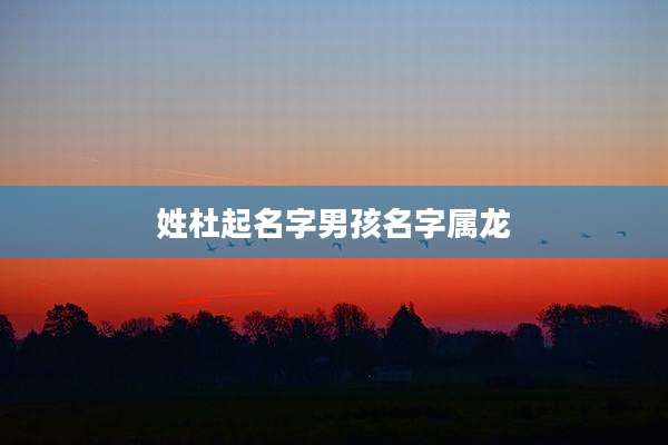 姓杜起名字男孩名字属龙