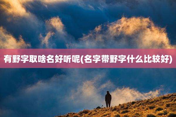 有野字取啥名好听呢(名字带野字什么比较好)