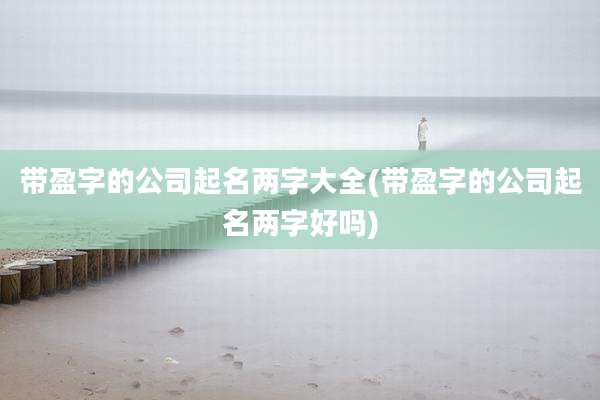 带盈字的公司起名两字大全(带盈字的公司起名两字好吗)