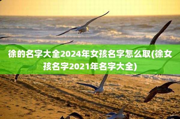 徐的名字大全2024年女孩名字怎么取(徐女孩名字2021年名字大全)