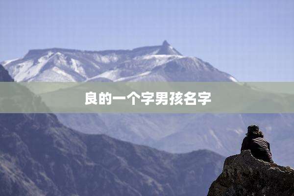 良的一个字男孩名字