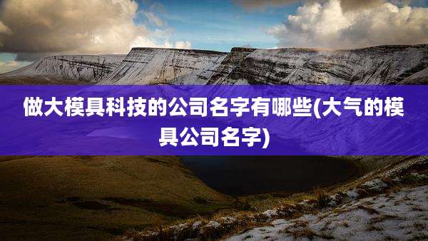 做大模具科技的公司名字有哪些(大气的模具公司名字)