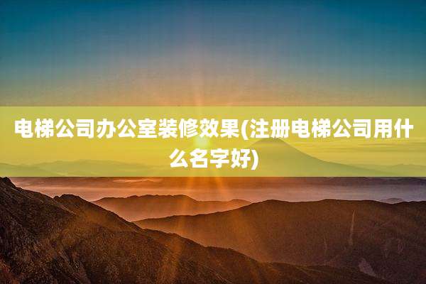 电梯公司办公室装修效果(注册电梯公司用什么名字好)