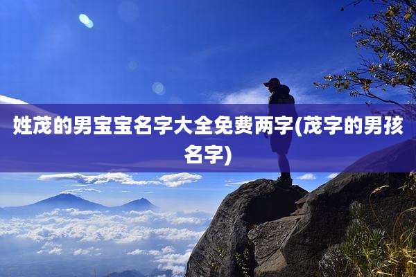 姓茂的男宝宝名字大全免费两字(茂字的男孩名字)