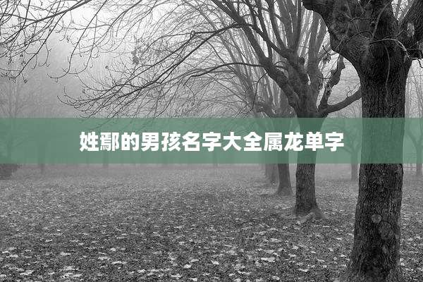 姓鄢的男孩名字大全属龙单字