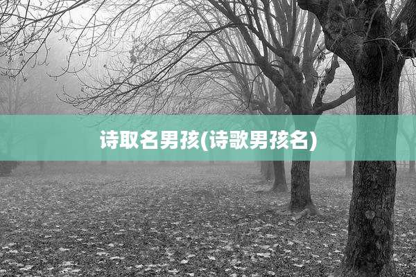 诗取名男孩(诗歌男孩名)