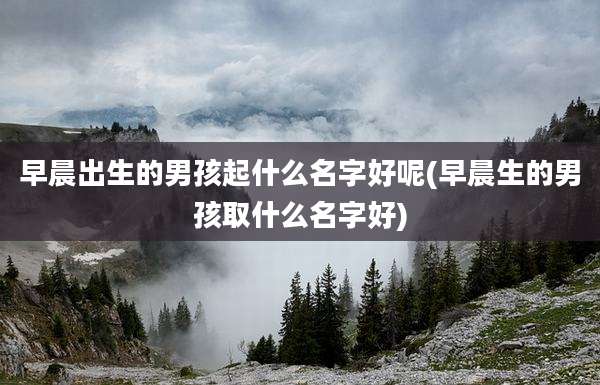 早晨出生的男孩起什么名字好呢(早晨生的男孩取什么名字好)