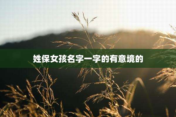 姓保女孩名字一字的有意境的