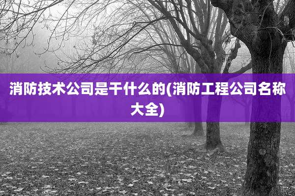 消防技术公司是干什么的(消防工程公司名称大全)